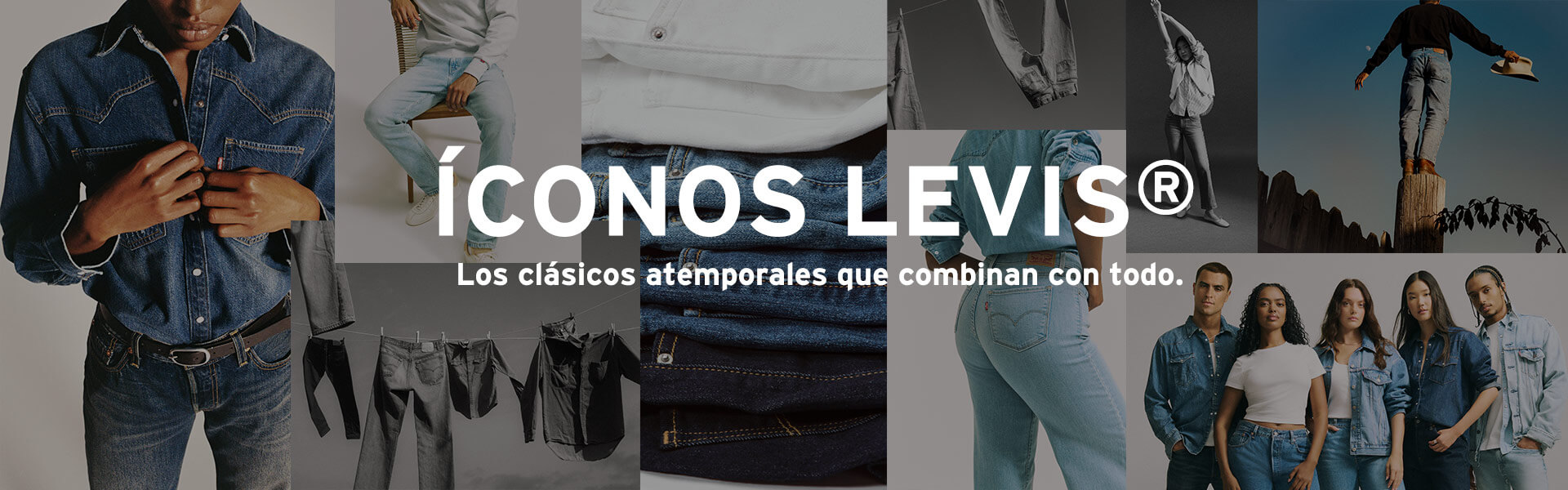 Banner LVs
